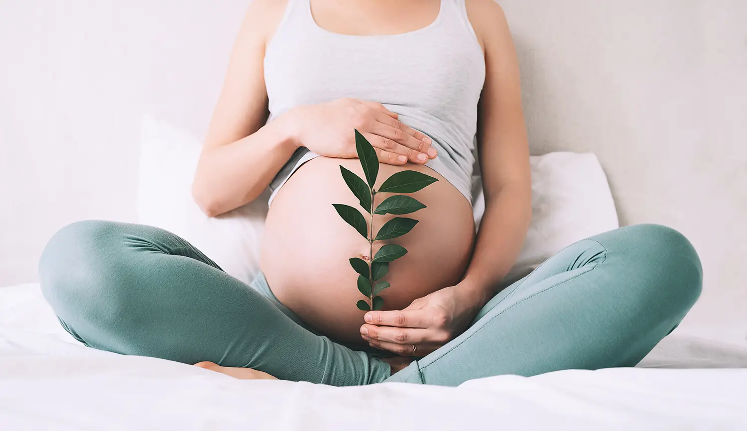 Dr Saul Cohen - Elsternwich Obstetrics & Gynaecology